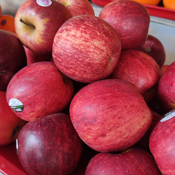 Táo đỏ Royal Gala